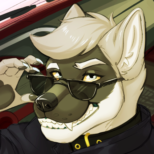 icon of cole canine with some cool sunglasses in a convertible car